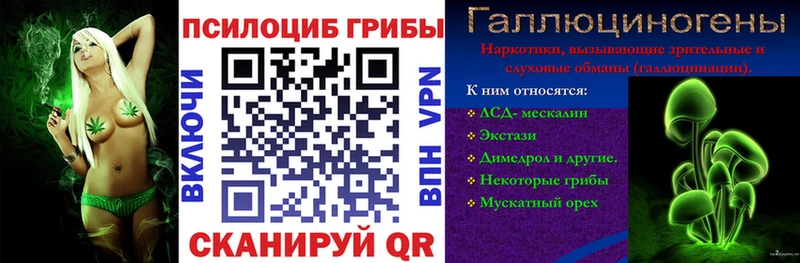 Галлюциногенные грибы Magic Shrooms  где можно купить   Заозёрск 